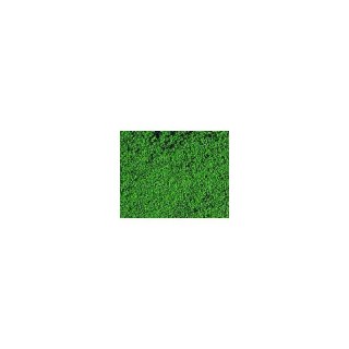 Heki 1602 Mikroflor Dark Green 28 x 14 cm