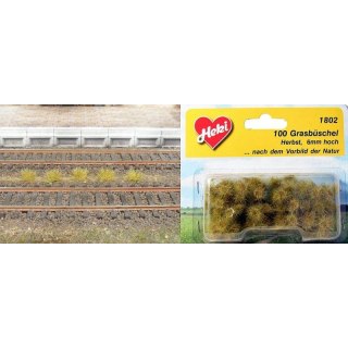 Heki 1802 Grass Tufts Autumn 5-6 mm (100 pcs)