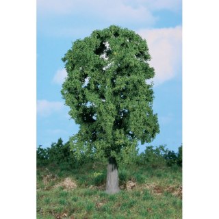 Heki 1987 Oak Tree 20 cm