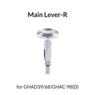 Gaahleri 40607 Main Lever R Type
