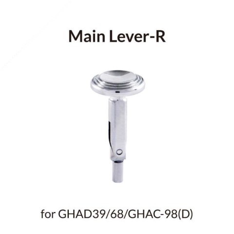 Gaahleri 40607 Main Lever R Type