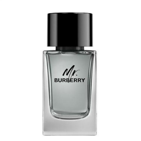 Mr. Burberry woda toaletowa spray 100ml