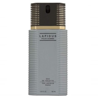 Lapidus Pour Homme woda toaletowa spray 100ml