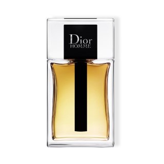 Dior Homme woda toaletowa spray 100ml Tester