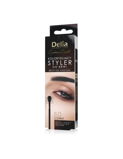 Delia Cosmetics Eyebrow Expert Maskara Koloryzująca 1.0 czarny- styler do brwi 11ml