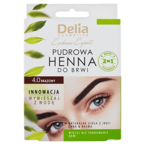 Delia Cosmetics Eyebrow Expert Pudrowa henna do brwi 4.0 brązowy 4 g