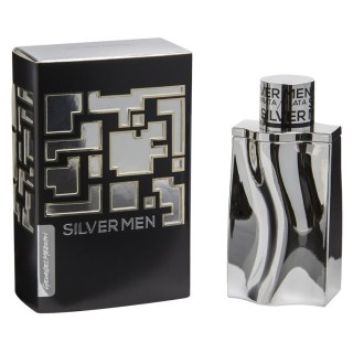 Silver Men woda toaletowa spray 100ml