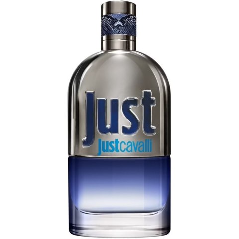 Just Cavalli Him 2013 woda toaletowa spray 90ml