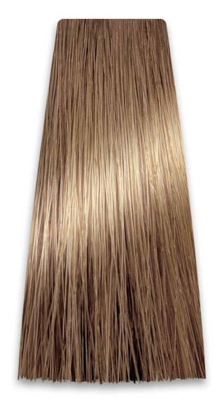 PROSALON PROFESSIONAL Intensis Color Art Profesjonalna Farba do włosów nr 8.0 średni blond 100g