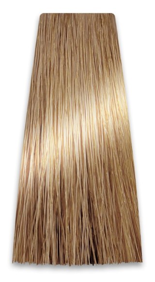 PROSALON PROFESSIONAL Intensis Color Art Profesjonalna Farba do włosów nr 9.0 jasny blond 100g