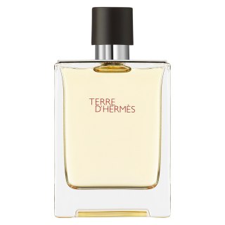 Terre D'Hermes woda toaletowa spray 100ml