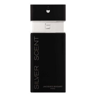 Silver Scent woda toaletowa spray 100ml