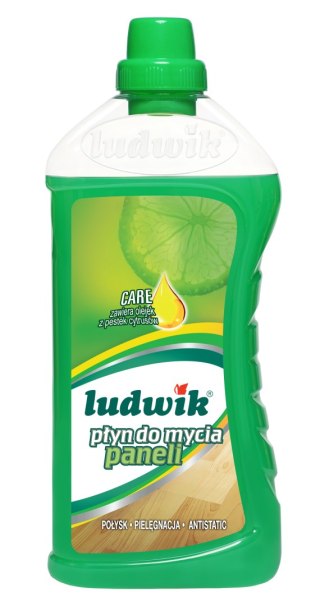 Ludwik 1l.d/mycia paneli /6