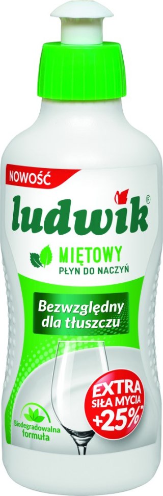 Ludwik 250g mięta /30