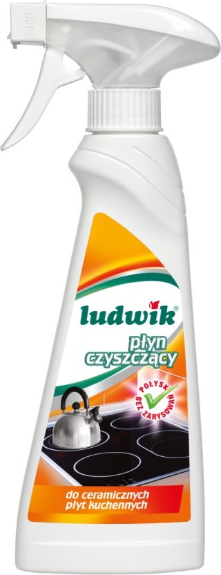 Ludwik 250ml pł.d/płyt ceramicz. /8