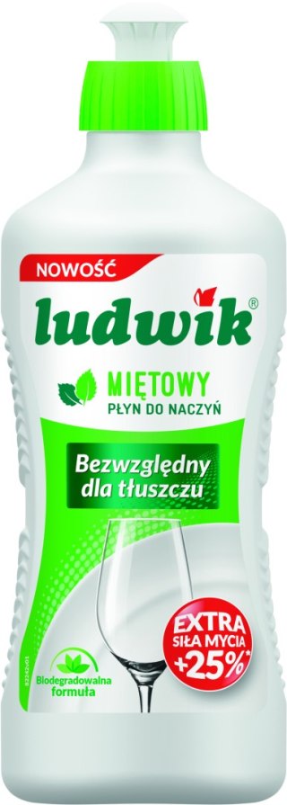 Ludwik 450g mięta /20