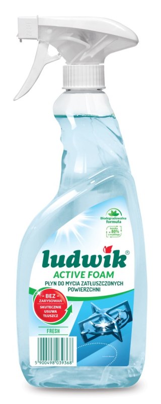 Ludwik 600ml pł.Activ Fresh do zatł.powierzchni /8