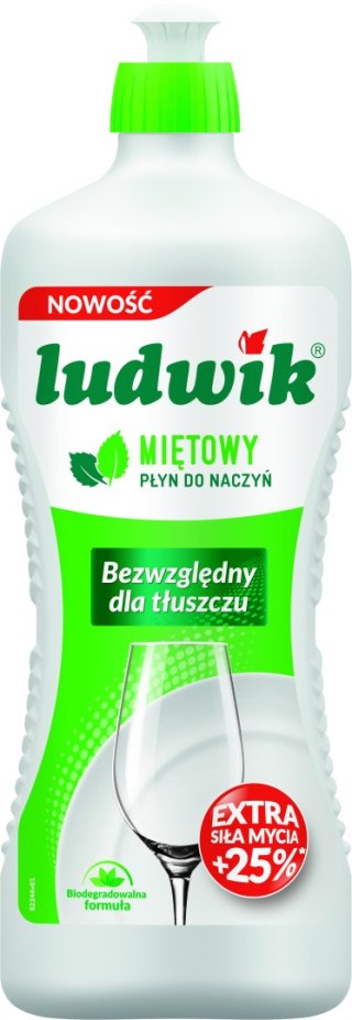 Ludwik 900g miętowy /12 /648