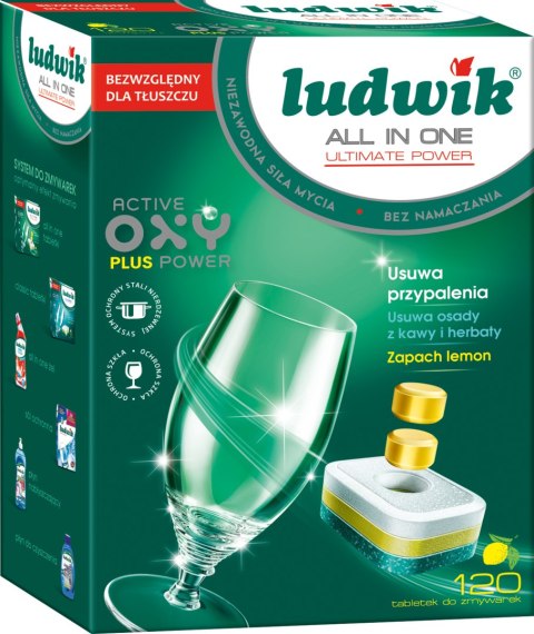 Ludwik tabletki 120 do zmywarek