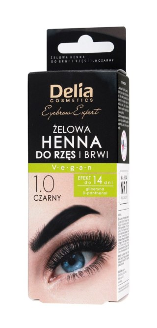 DELIA Henna d/brwi żelowa 1.0 Czarny new&