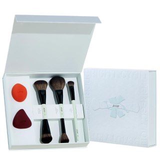 Ultimate Travel Makeup Tool Gift Kit zestaw pędzle do makijażu 3szt. + gąbeczki do makijażu 2szt. T510