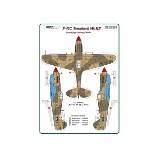 AML M33014 P-40 C Tomahawk Mk.IIB