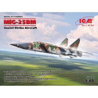 ICM 48905 Mig-25 BM