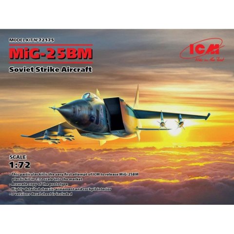 ICM 72175 MiG 25 BM Soviet Strike Aircraft