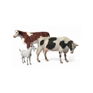 Mb 3566 Domestic Animals