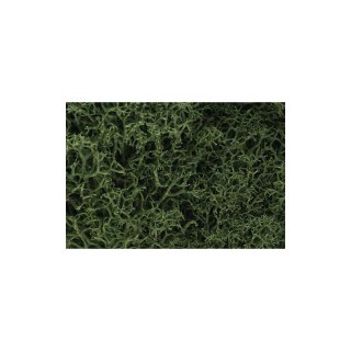 Woodland WL163 Zarośla Medium Green Lichen (Bag