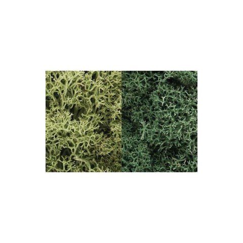 Woodland WL167 Zarośla - Light Green Mix Lichen (1 Woodland WL167 Zarośla - Light Green Mix Lichen (1