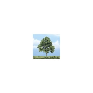 Woodland WTR1615 4" Beech Tree 1/Pkg