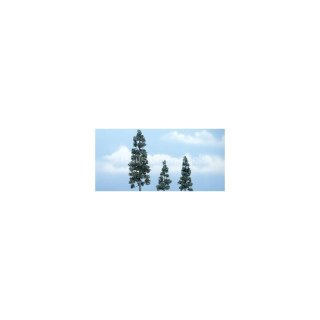 Woodland WTR1619 2 1/2 5 1/8" Prem Juniper 3/Pk