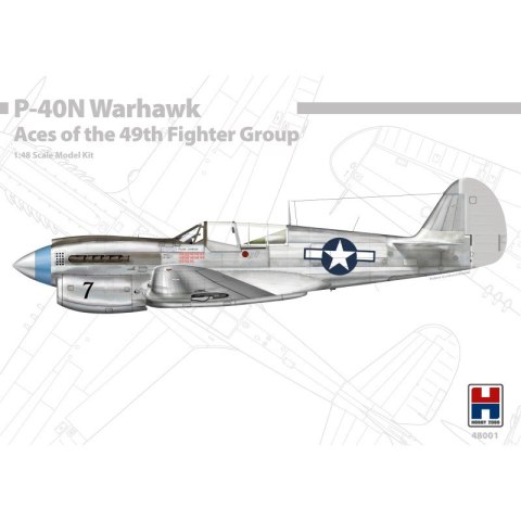 Hobby 2000 48001 P-40N Warhawk Aces of The 49th Fighter Group