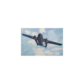 Roden 322 Fairchild Ac-119K Stinger
