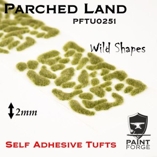 Paint Forge PFTU0251 Parched Land Wild Shapes 2 mm