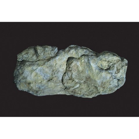 Woodland WC1242 Forma Do Skał WAshd Rock (26,5 Woodland WC1242 Forma Do Skał WAshd Rock (26,5