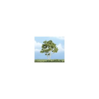 Woodland WTR1601 Premium Trees 4In. Brich Tree 1/