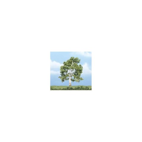 Woodland WTR1609 4" Sycamore Tree 1/Pkg