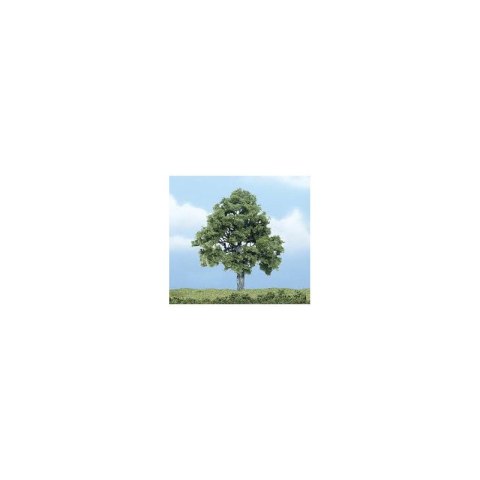 Woodland WTR1615 4" Beech Tree 1/Pkg Woodland WTR1615 4" Beech Tree 1/Pkg