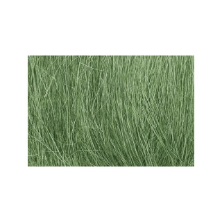 Woodland WFG174 Trzcina - Medium Green Field Grass