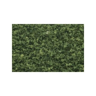 Woodland WT64 Darń - Medium Green Coarse Turf (Ba