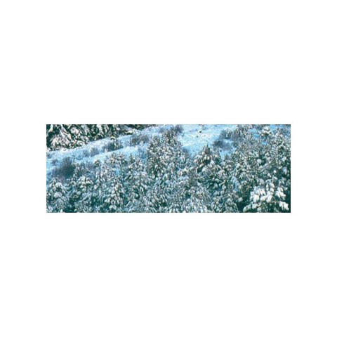 Vallejo 26231 Piana I Śnieg