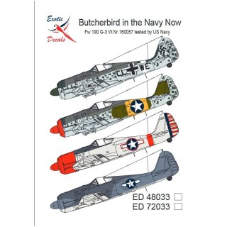 Exotic Decals 48033 Butcherbird in the Navy Now Fw 190 G-3 W.Nr 160057 Tested by US Navy