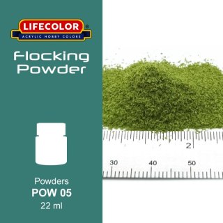 Lifecolor Flocking Powders LIFPOW05 Luxuriant Green