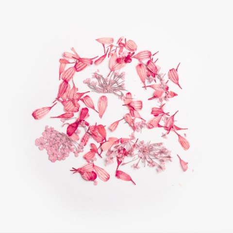 SEMILAC Flower Flakes Coral Blossom SEMILAC Flower Flakes Coral Blossom