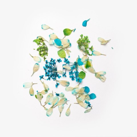 SEMILAC Flower Flakes Spring Meadow SEMILAC Flower Flakes Spring Meadow