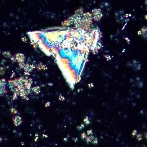 MAGUS Mikroskop polaryzacyjny MAGUS Pol 850 MAGUS Mikroskop polaryzacyjny MAGUS Pol 850