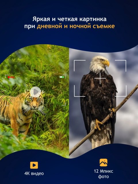 Levenhuk Cyfrowa lornetka noktowizyjna Levenhuk Halo 13X Helmet Levenhuk Cyfrowa lornetka noktowizyjna Levenhuk Halo 13X Helmet