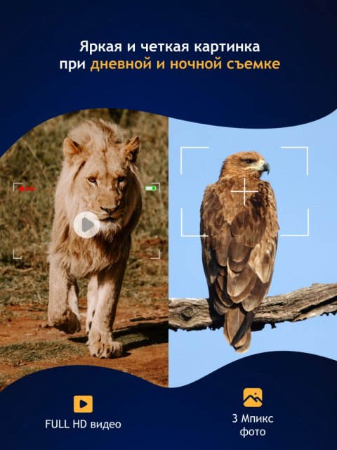 Levenhuk Cyfrowa lornetka noktowizyjna Levenhuk Halo 13X